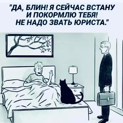 Сли вы вдруг Задавались вопросом, как выглядит заседание союза юристов  Нигерии Надеть дошики, суд идёт! - АйДаПрикол в 2023 г | Мемы, Смешные  мемы, Веселые мемы