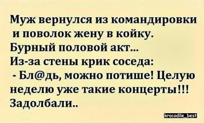 Муж в командировке картинки прикольные - 65 фото