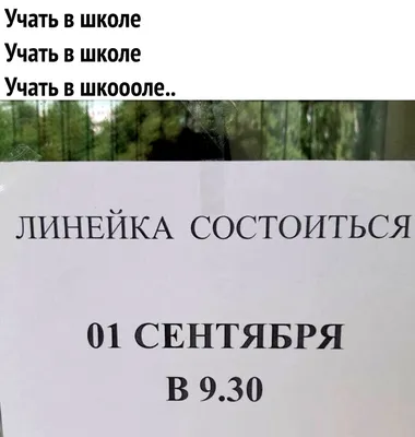 Муж в командировке картинки прикольные - 65 фото