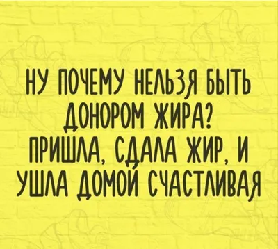 Приколы про Похудение, Диету и Лишний вес / Смешные цитаты про борьбу с  лишними килограммами - YouTube