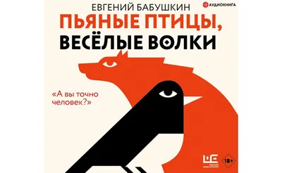 Веселые глазки. Удивительные птицы (Инна Панасюк) - купить книгу с  доставкой в интернет-магазине «Читай-город». ISBN: 978-5-70-576180-7