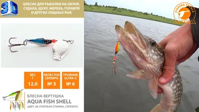 Летние блесны для рыбалки. Смотреть 3D видео обзоры рыболовных приманок.  Здорово и познавательно. Весело. – смотреть онлайн все 4 видео от Летние  блесны для рыбалки. Смотреть 3D видео обзоры рыболовных приманок. Здорово