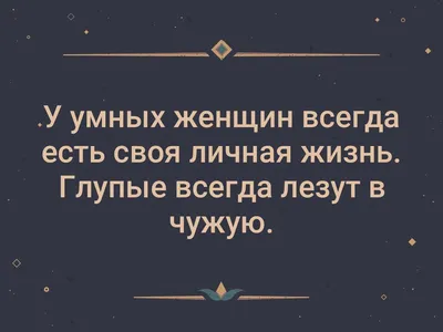 Когда за окном метель. Уютная семейная книга для Новогоднего настроения и  подготовки к празднику. Майорова Полина (7581512) - Купить по цене от   руб. | Интернет магазин 