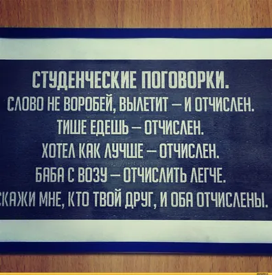 Весь смысл в буквах: студенты сделали ребрендинг проекту фонда «Гольфстрим»  — центру «Вместе весело шагать»