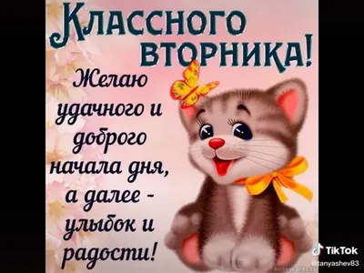 Доброе утро! Чудесного Вторника! в 2023 г | Доброе утро, Веселые картинки,  Вторник