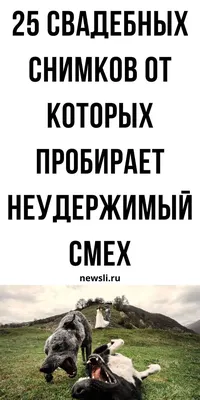 Свадебные фотографии: веселые и романтические, в городе, горах и с гостями  |  | Свадебные фотографии, Фотографии, Фотограф