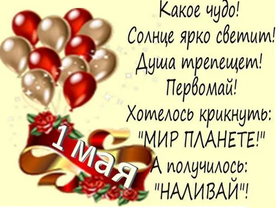 1 Мая в Магадане: Веселые аттракционы, праздничный концерт, конкурсы и  викторины - MagadanMedia