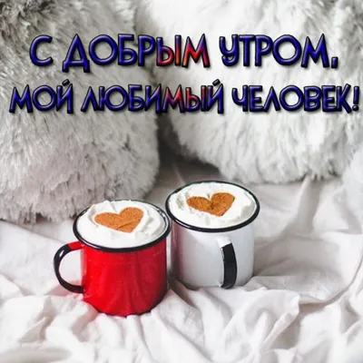 С добрым утром любимая Наташа!#сдобрымутром #любимка #наташа #длянаташ... |  TikTok