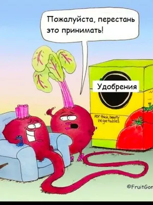 55+новых картинок о себе с юмором. | Надписи, Юмор о настроении, Смешные  таблички