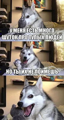 Купить надпись "Есть установка весело встретить Новый год!" (65*53 мм) по  низкой цене 42 р. - Scrap Home