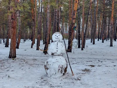 Веселые снеговики — Купить воздушные шары в Самаре