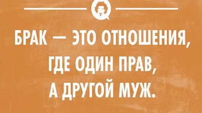 Прикольные статусы в картинках (53 лучших фото)