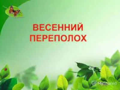 Первоцветы "Весёлые ребята" Весенние растения, цветы на 8 марта купить в  интернет-магазине Ярмарка Мастеров по цене 3000 ₽ – SKP5GRU | Подарки на 8  марта, Москва - доставка по России