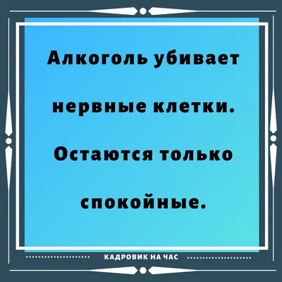 Картинки мужчине для поднятия настроения прикольные ржачные - 63 фото