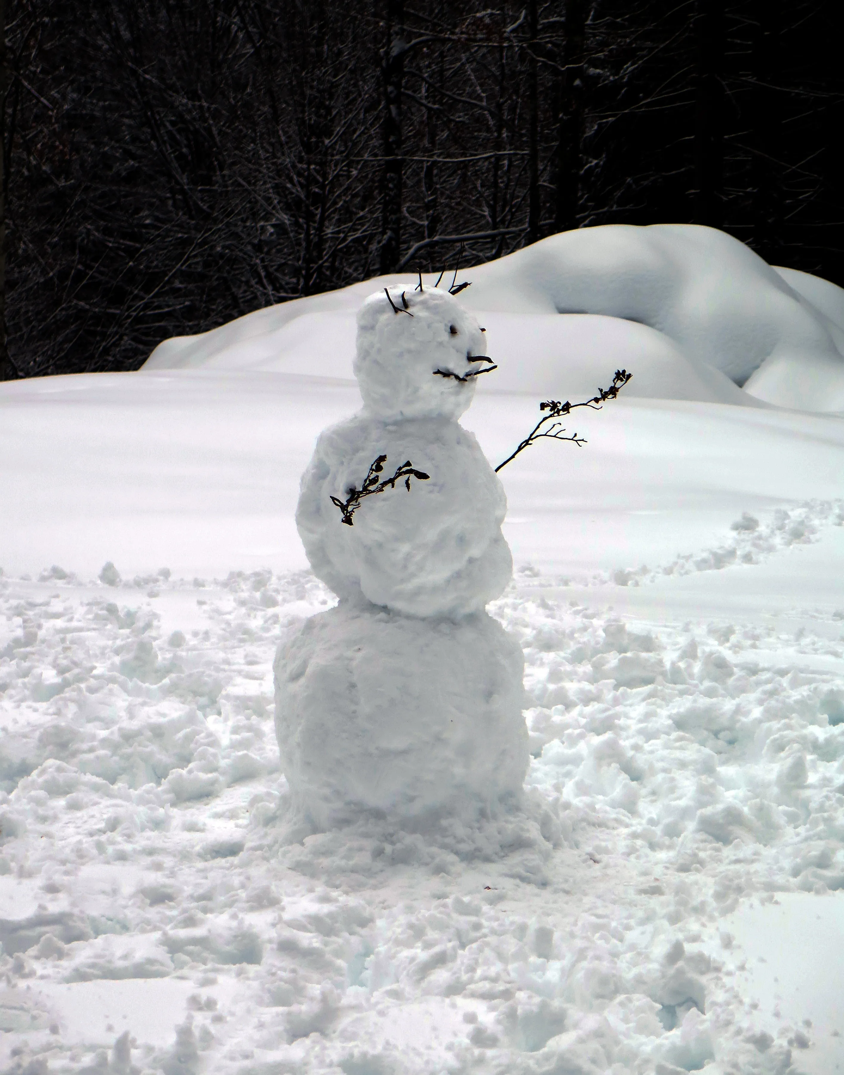 Сугроб снеговик. Снеговик из снега. Снеговик снежный. Красивые Снеговики из снега. Маленький Снеговик из снега.