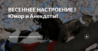 ВЕСЕННЕЕ НАСТРОЕНИЕ ! Юмор и Анекдоты! | Заметки Натальи Чиженковой | Дзен