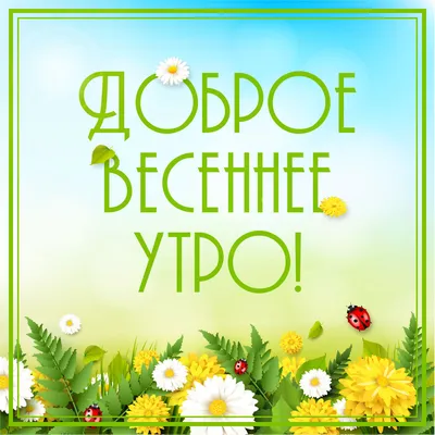 Весеннее 🌸🍃🌞🌿🌸 Утро доброе! | Доброе утро, Утренние цитаты, Смешные  открытки