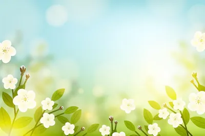 Spring Background Изображения – скачать бесплатно на Freepik