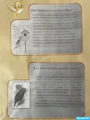 Скворечники – заказать на Ярмарке Мастеров – P3M78RU | Кормушки для птиц,  Великий Новгород