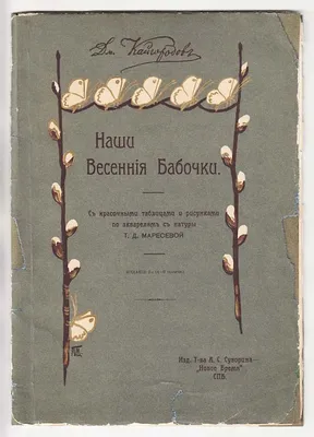 1914 Russia IDENTIFIER of BUTTERFLIES НАШИ ВЕСЕННИЕ БАБОЧКИ Дмитрия  Кайгородова | eBay