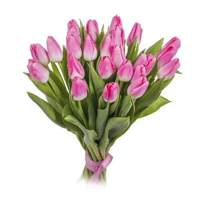Заказать весенние цветы для букета FL-1279 купить - хорошая цена на весенние  цветы для букета с доставкой - 