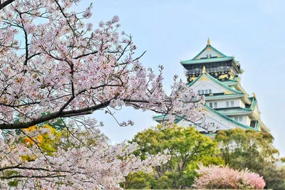 Купить Японский пейзажный постер храм Кенчо художественный принт Хасуи  весенние обои для гостиной | Joom
