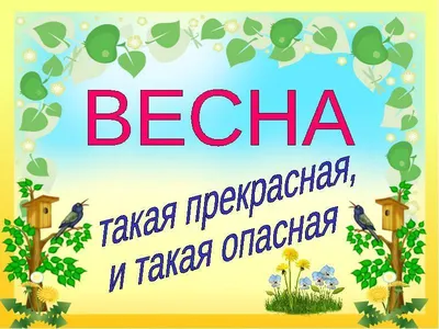 Весенние каникулы в зоопарке