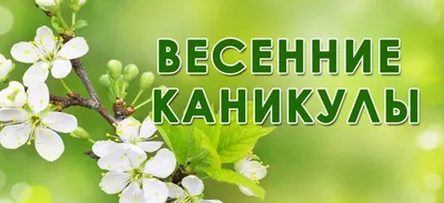 Весенние каникулы