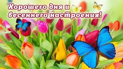 😃 Добрый день, весенние картинки, открытки, пожелания. Скачать бесплатно