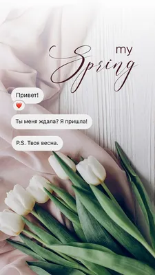 картинки : природа, цветок, весна, маленький, ботаника, Закрыть, Флора, Март,  красивая, подснежник, весенние цветы, Пробуждение, Галант, цветущее  растение, Цветок белый, Раннее цветение, Наземный завод 6000x4000 - -  1210747 - красивые картинки - PxHere