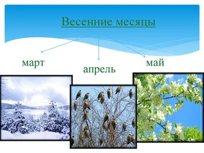 Учим месяца и времена года для детей в картинках - месяца года по порядку  для детей