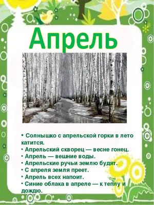 Времена года в картинках: Зима; Весна; Лето; Осень. Гном. - купить с  доставкой по выгодным ценам в интернет-магазине OZON (825094033)