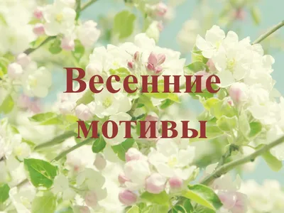 Весенние мотивы, ярко, эстетично …» — создано в Шедевруме