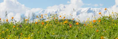 Красивые картинки: в ожидании весны 🌱🌤🌷 | Волшебный мир иллюстраций |  Дзен