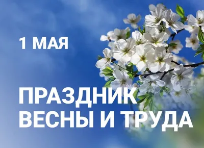 Примите поздравления с праздником Весны и Труда!