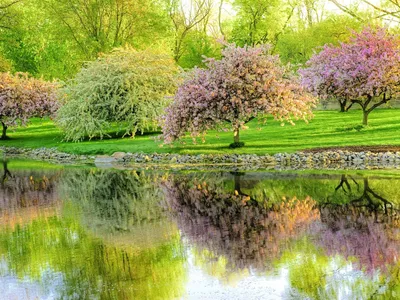Красивые картинки природы пейзажи весна - 70 фото