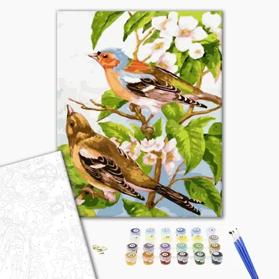 ᐉ Купить Картина по номерам Весенние птички GX32145 • цена 260 грн в Украине