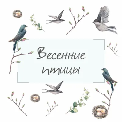 Картина Весенние птицы. Размеры: 50x70, Год: 2023, Цена: 46000 рублей  Художник Алексеева Зоя Александровна