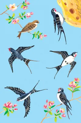 Раскраска перелетные птицы - 60 фото