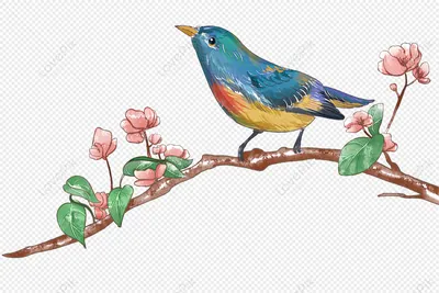 Весенние птицы PNG рисунок, картинки и пнг прозрачный для бесплатной  загрузки | Pngtree