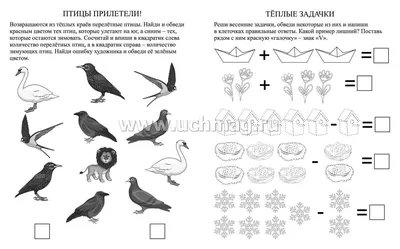 Картинки весна птицы красивые (69 фото) » Картинки и статусы про окружающий  мир вокруг