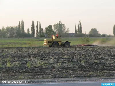 С чего начинать весенние работы на огороде. Основные важные дела | ОГОРОД,  где все растет🌻🌼🍏 | Дзен