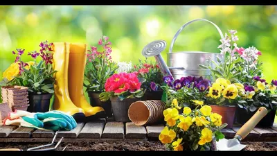 Весенние работы в саду и огороде: календарь и советы дачникам - 26 марта  2022 - 