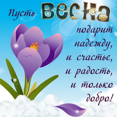 Воздушный Шар (12''/30 см) 8 Марта, Весенние пожелания, Ассорти, хром, 2  ст, 10 шт. (мрт) - купить в интернет-магазине OZON с доставкой по России  (489123518)