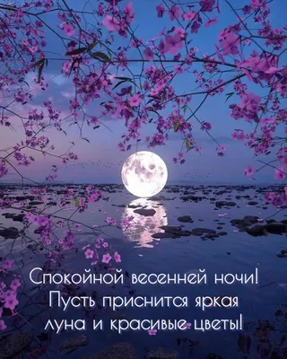 Открыть | Good night thoughts, Good night greetings, Instagram posts