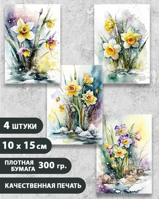 Набор открыток Весенние цветы Нарциссы, 10.5 см х 15 см, 4 шт,  InspirationTime, на подарок и в коллекцию - купить с доставкой в  интернет-магазине OZON (843284271)