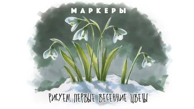 Первые весенние цветы | Моя усадьба | Дзен