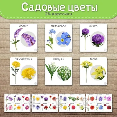 Популярные цветы для букетов: названия, фото и значения