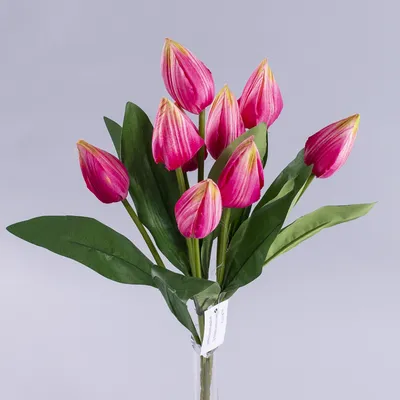 ᐉ Картина на холсте Весенние цветы тюльпаны 89x56 см (964-42)