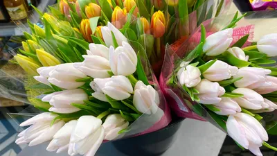 Тематическая неделя Весенние цветы. День 3 Тюльпан. | РадаРадуга - Радуга  Идей